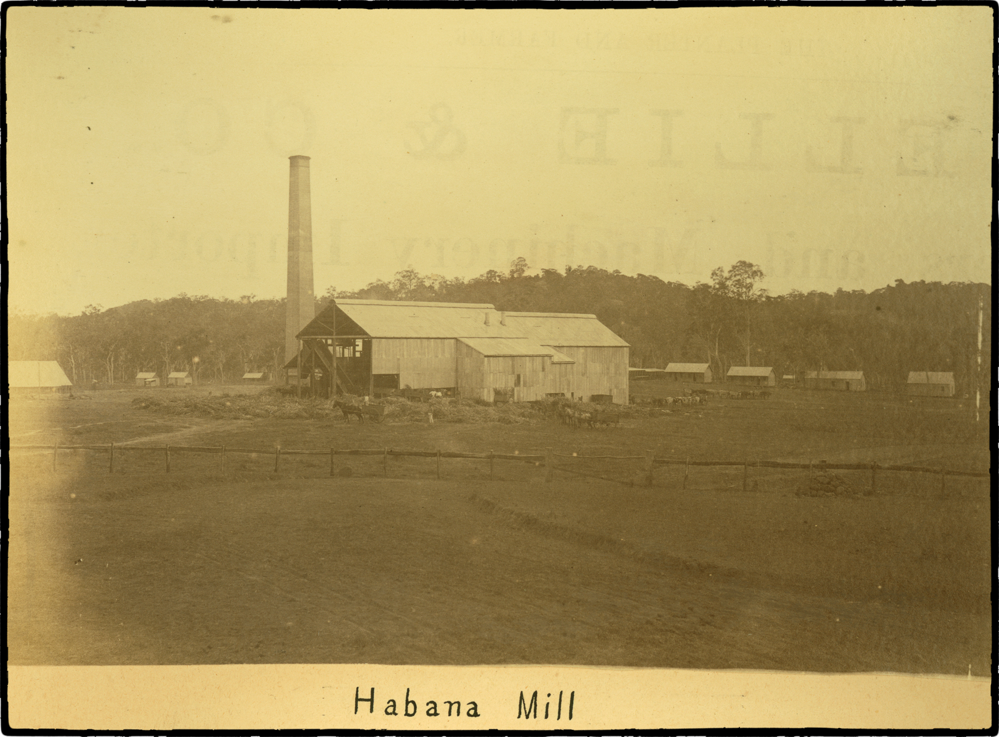 2-Habana Sugar Mill outside Mackay ca. 1884